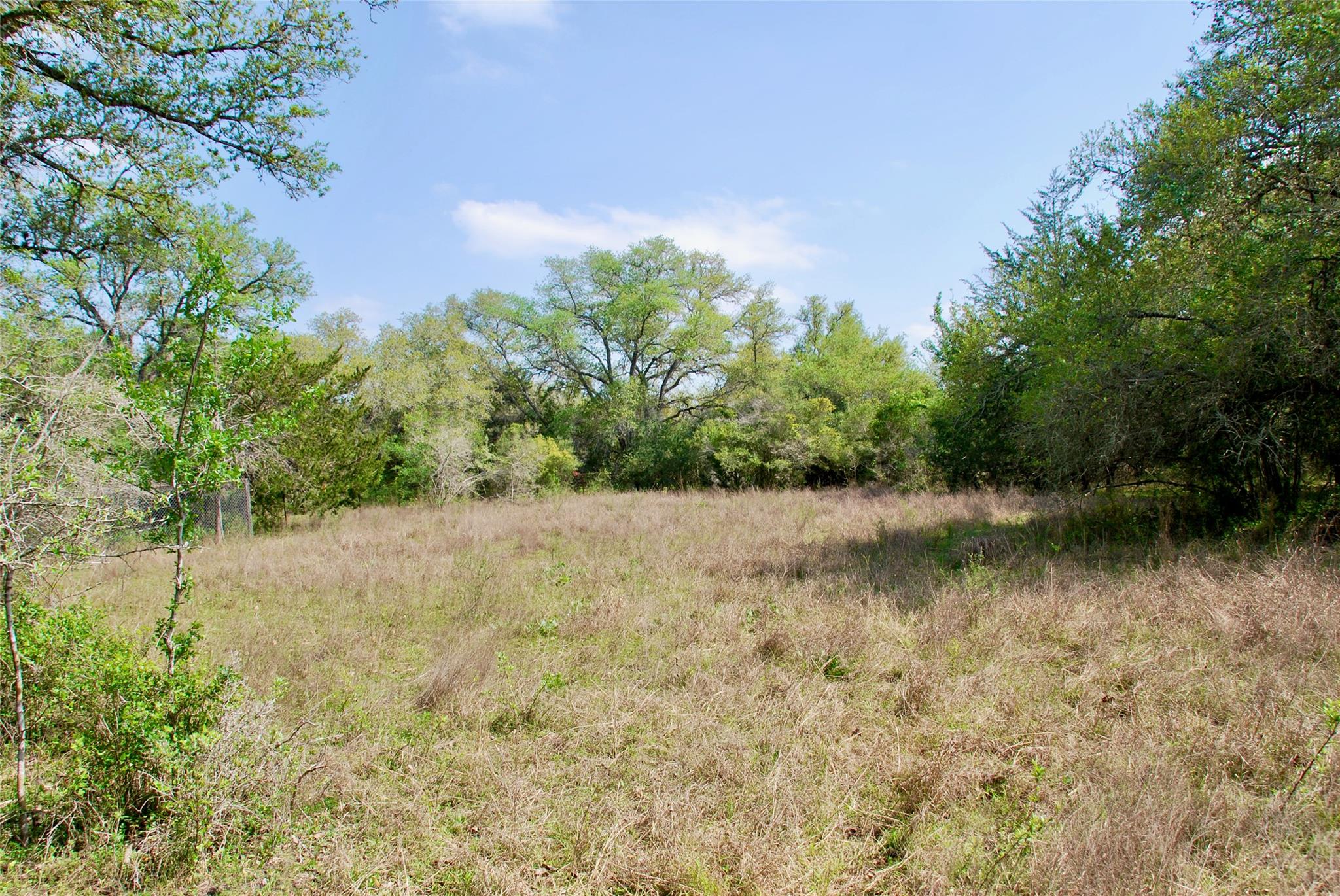 1801 County Road 381 Property Photo 37