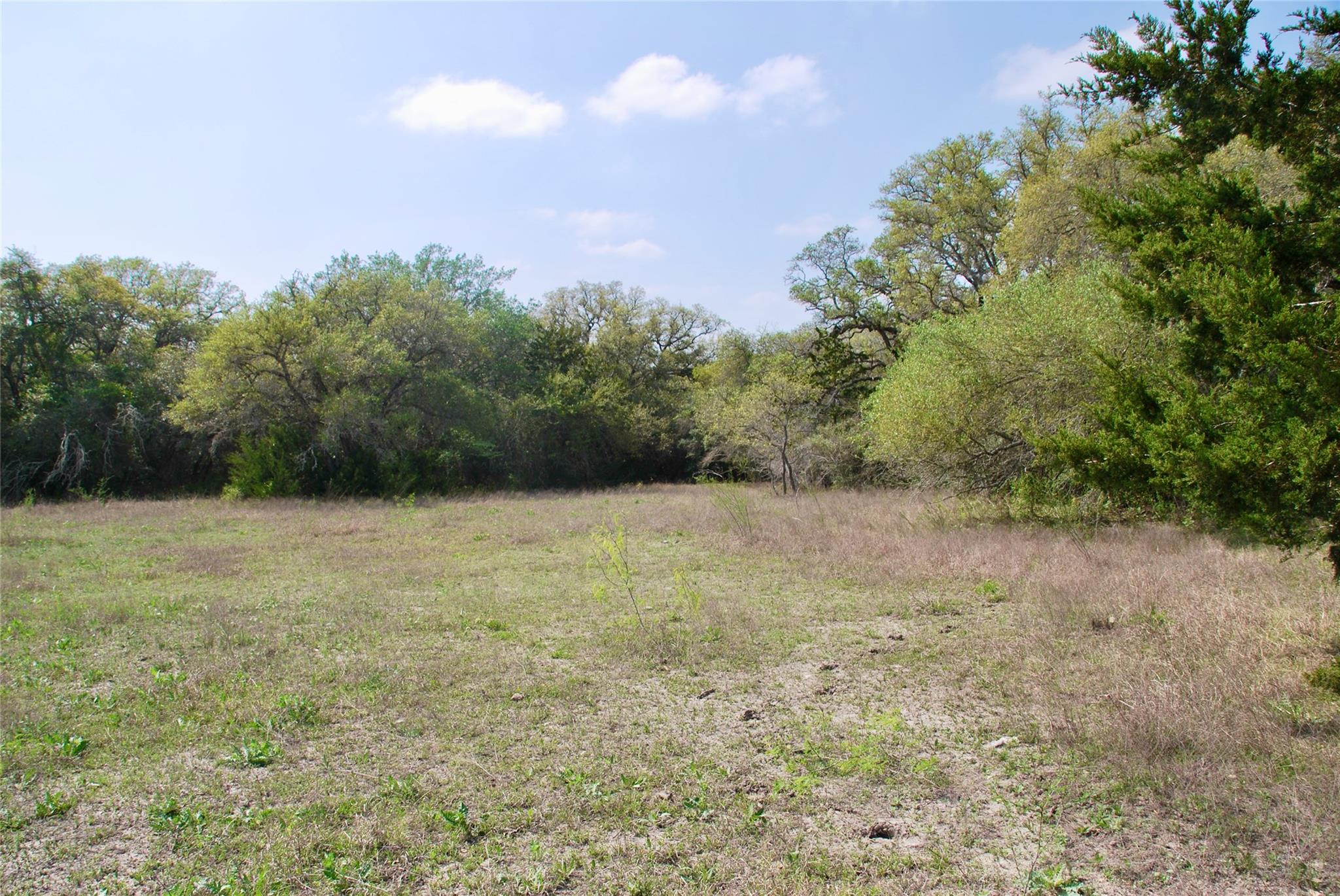 1801 County Road 381 Property Photo 38
