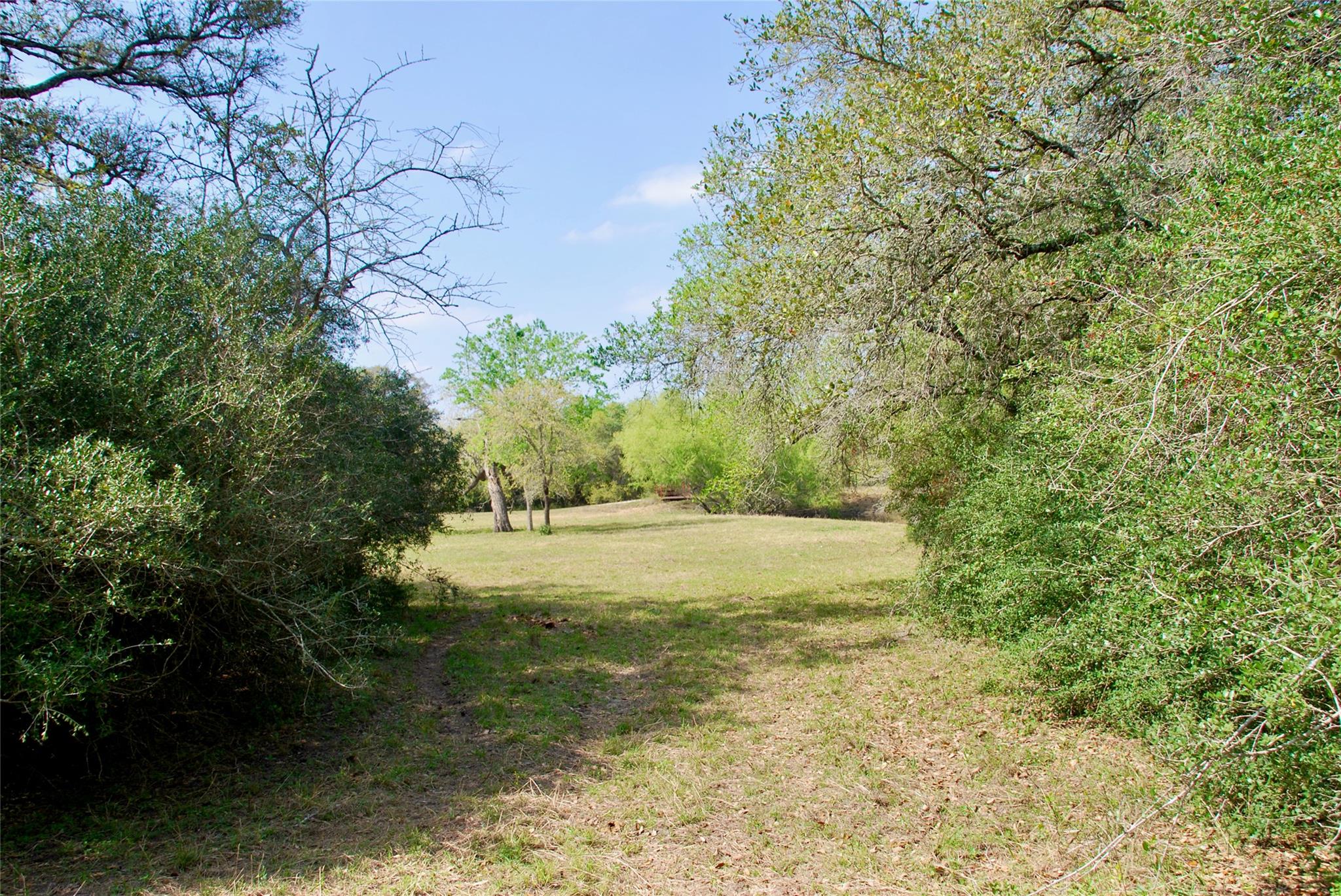 1801 County Road 381 Property Photo 39