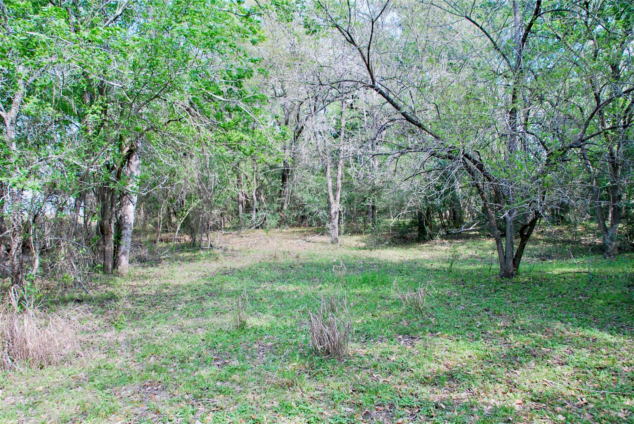 1801 County Road 381 Property Photo 40