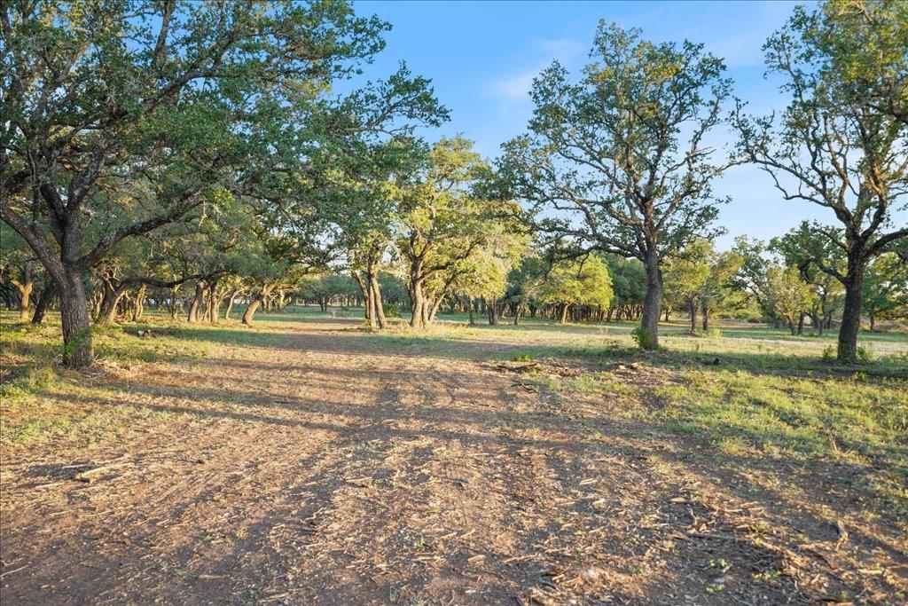 24525 Pedernales Canyon Trl 2 Property Photo 5