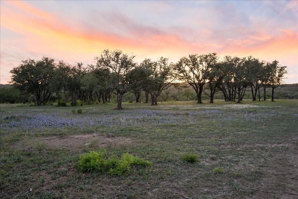 24525 Pedernales Canyon Trl 2 Property Photo 11