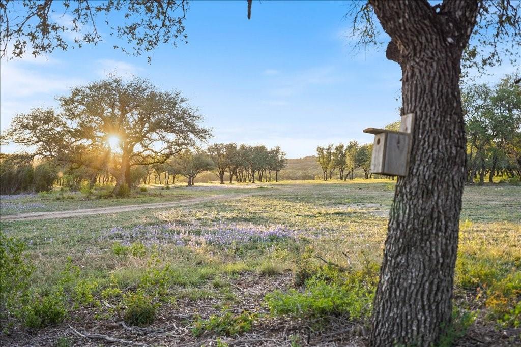 24525 Pedernales Canyon Trl 2 Property Photo 15