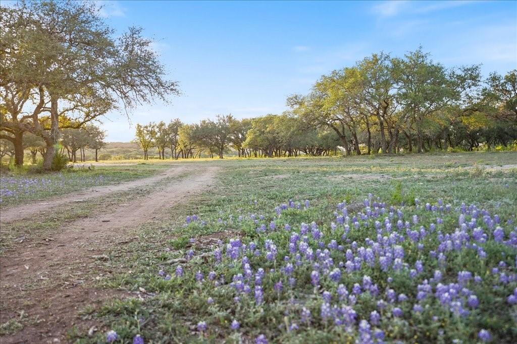 24525 Pedernales Canyon Trl 2 Property Photo 16