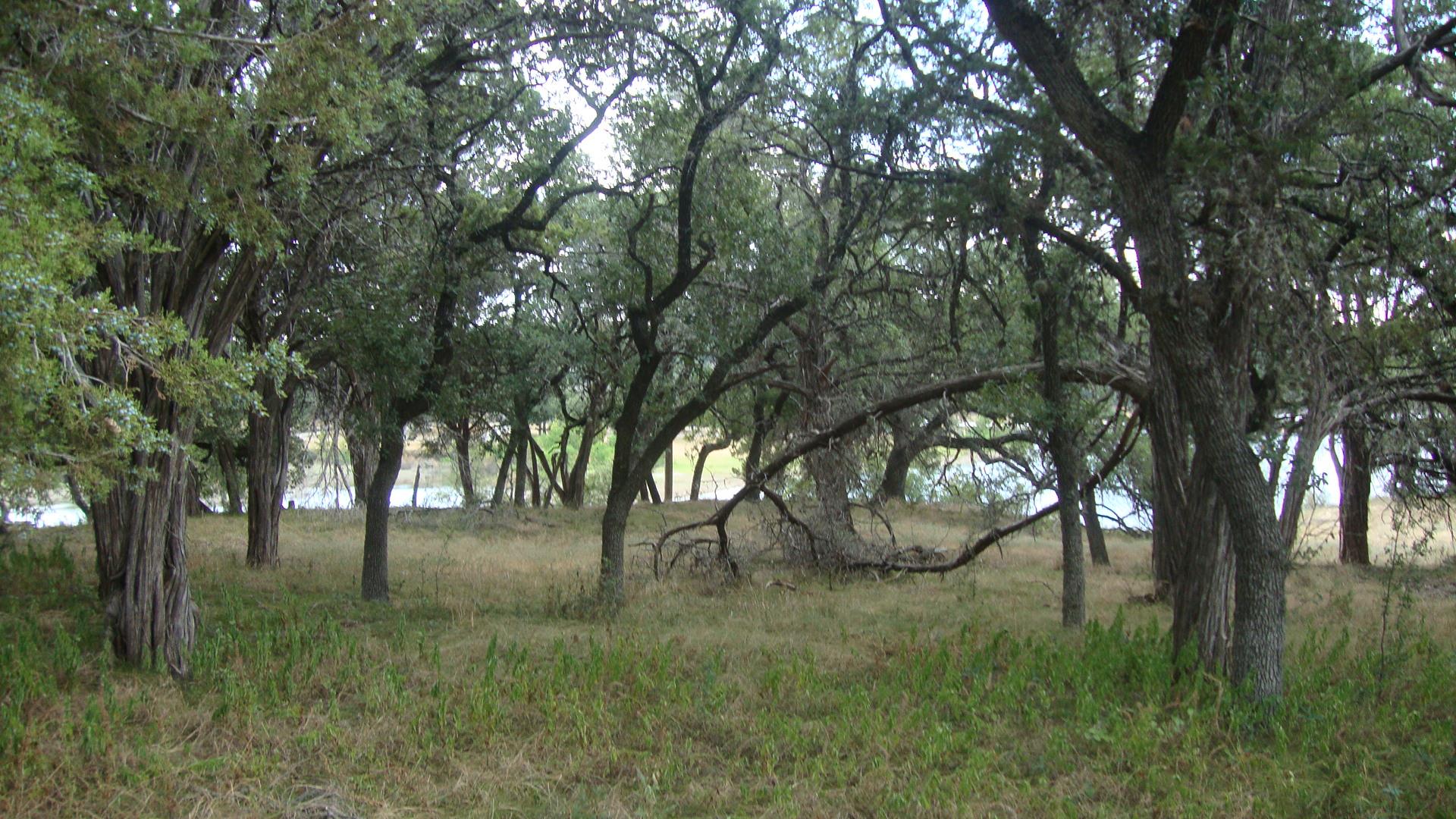 6703 Bar K Ranch Rd Property Photo 1