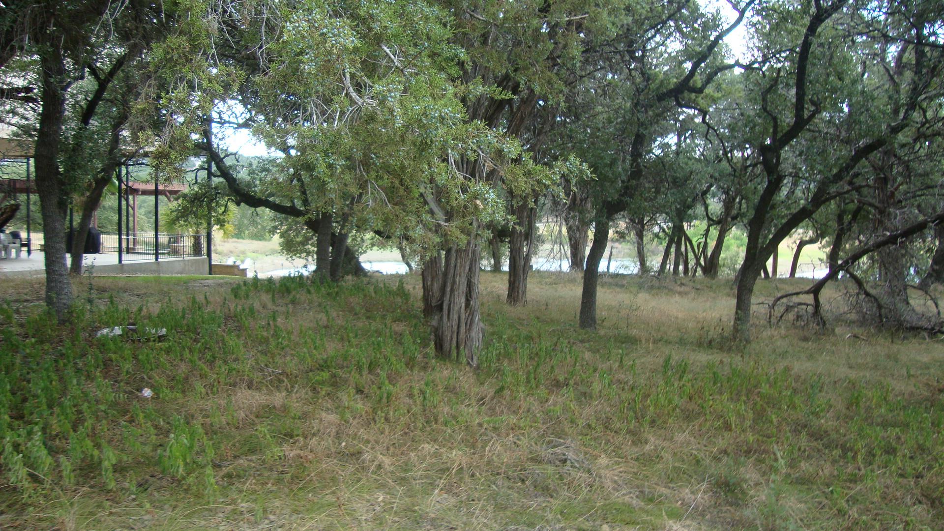 6703 Bar K Ranch Rd Property Photo 2