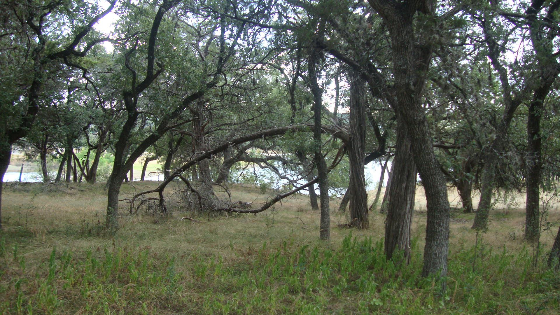 6703 Bar K Ranch Rd Property Photo 3