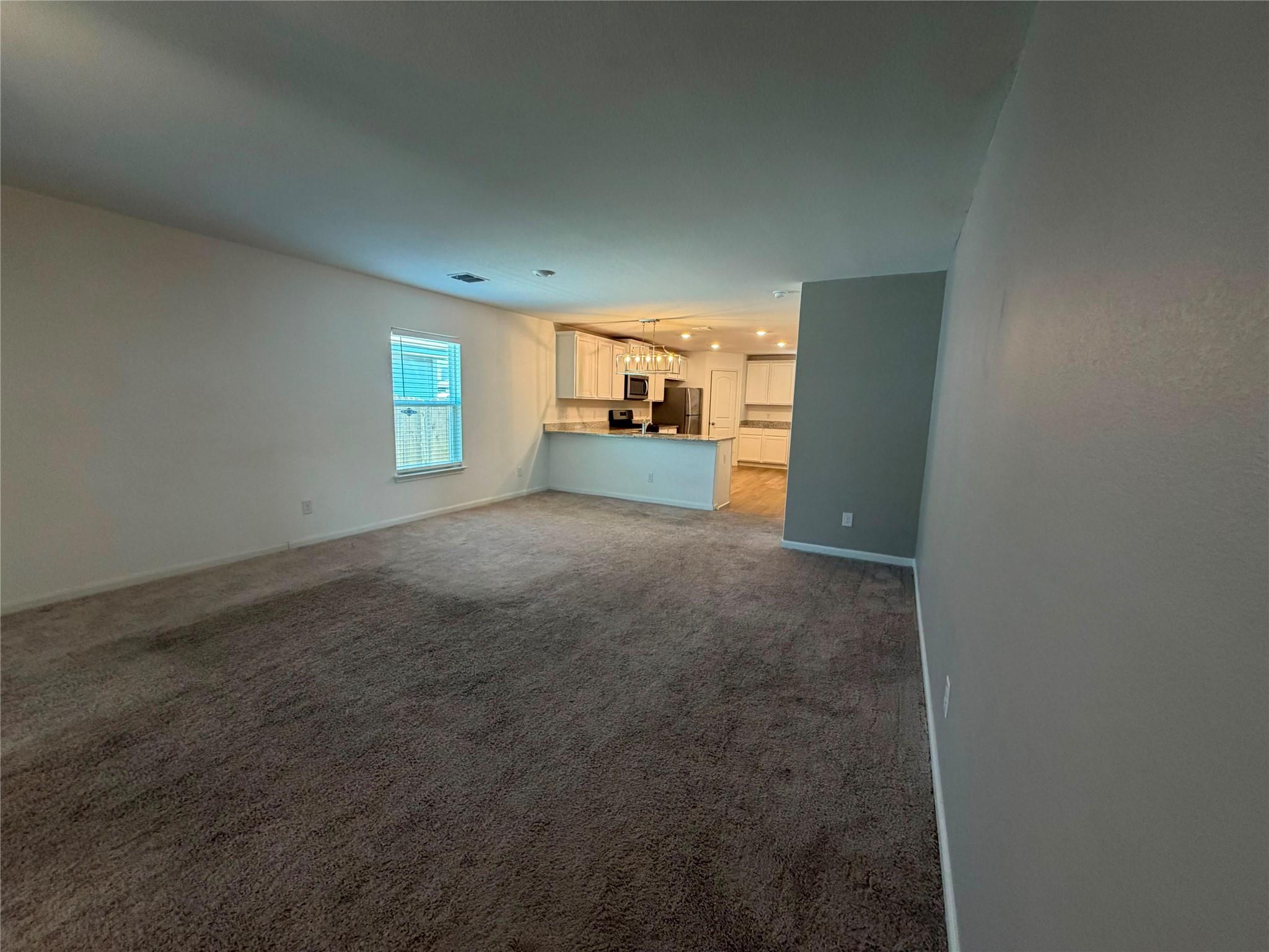 614 Aplite Pass Property Photo 10