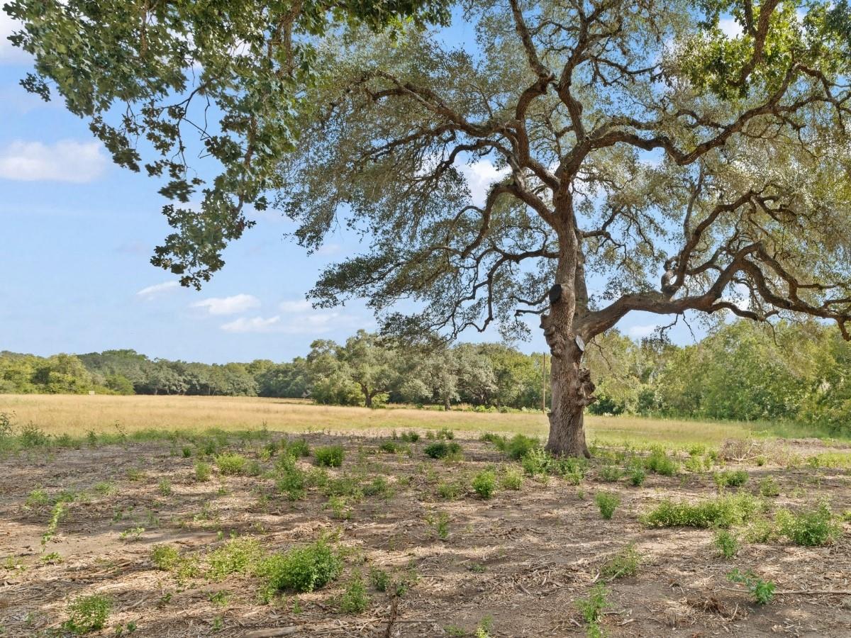 2763 Fm 956 None Property Photo 1