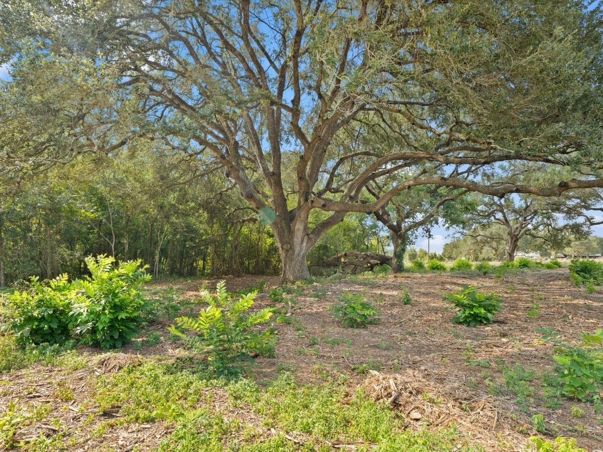 2763 Fm 956 None Property Photo 12