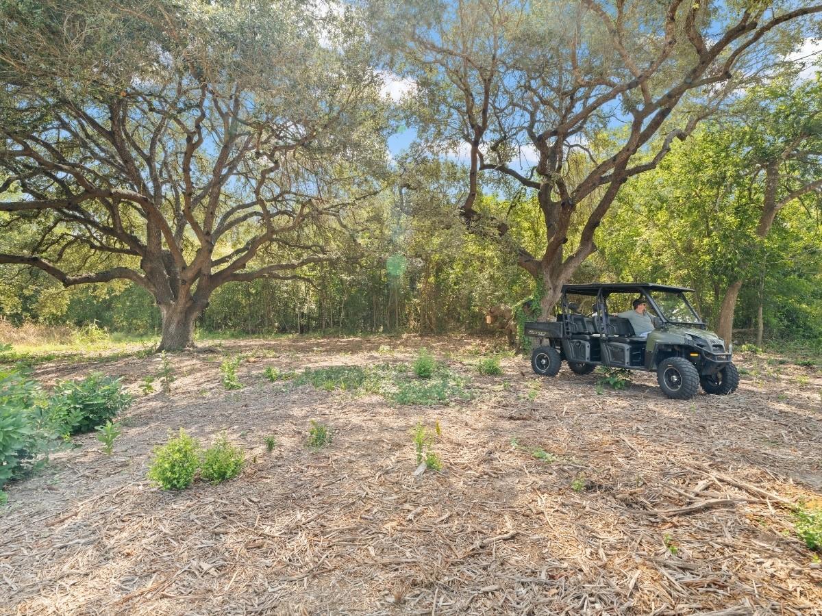 2763 Fm 956 None Property Photo 13