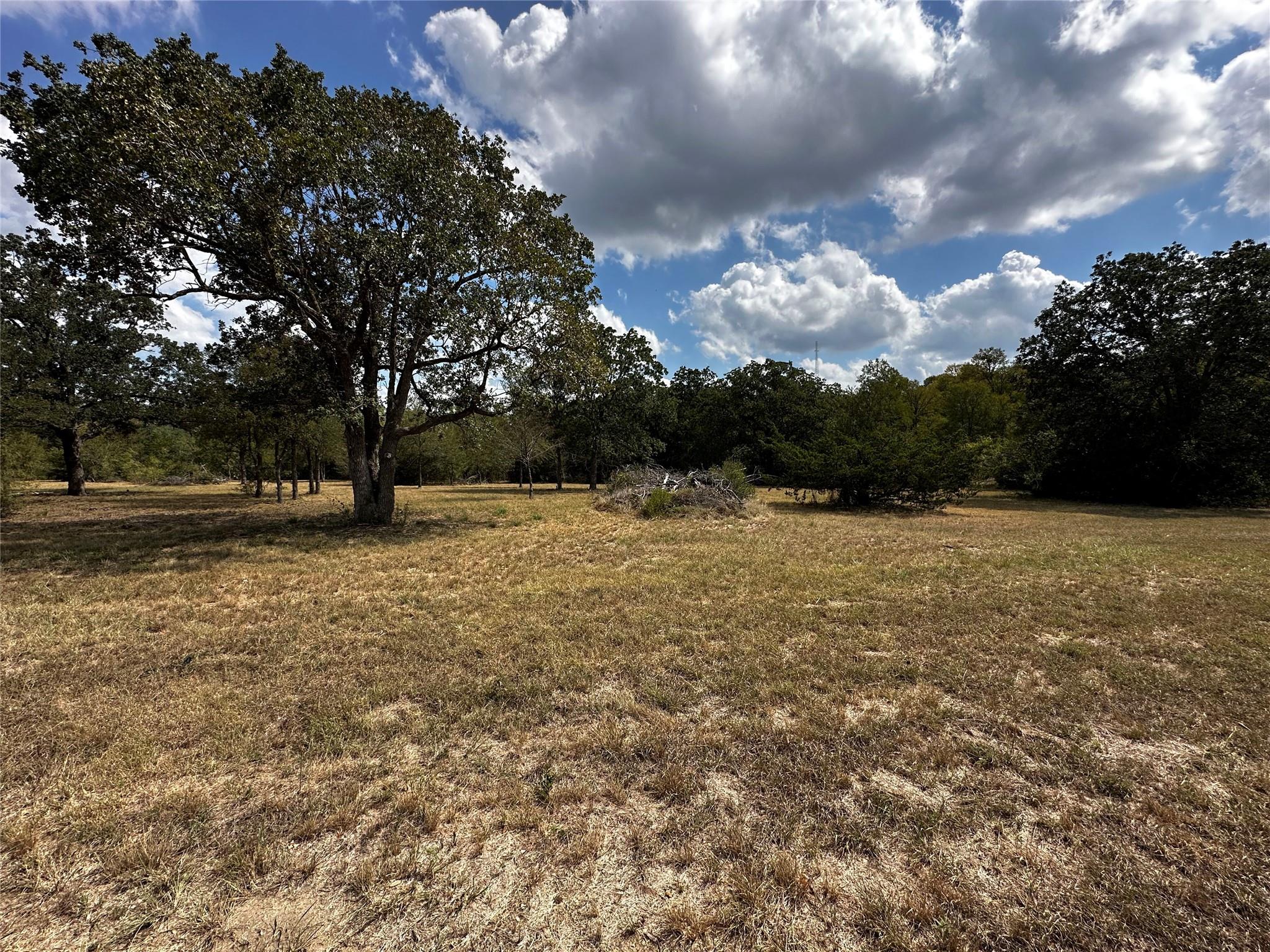1535 Old Colony Line Rd Property Photo 3
