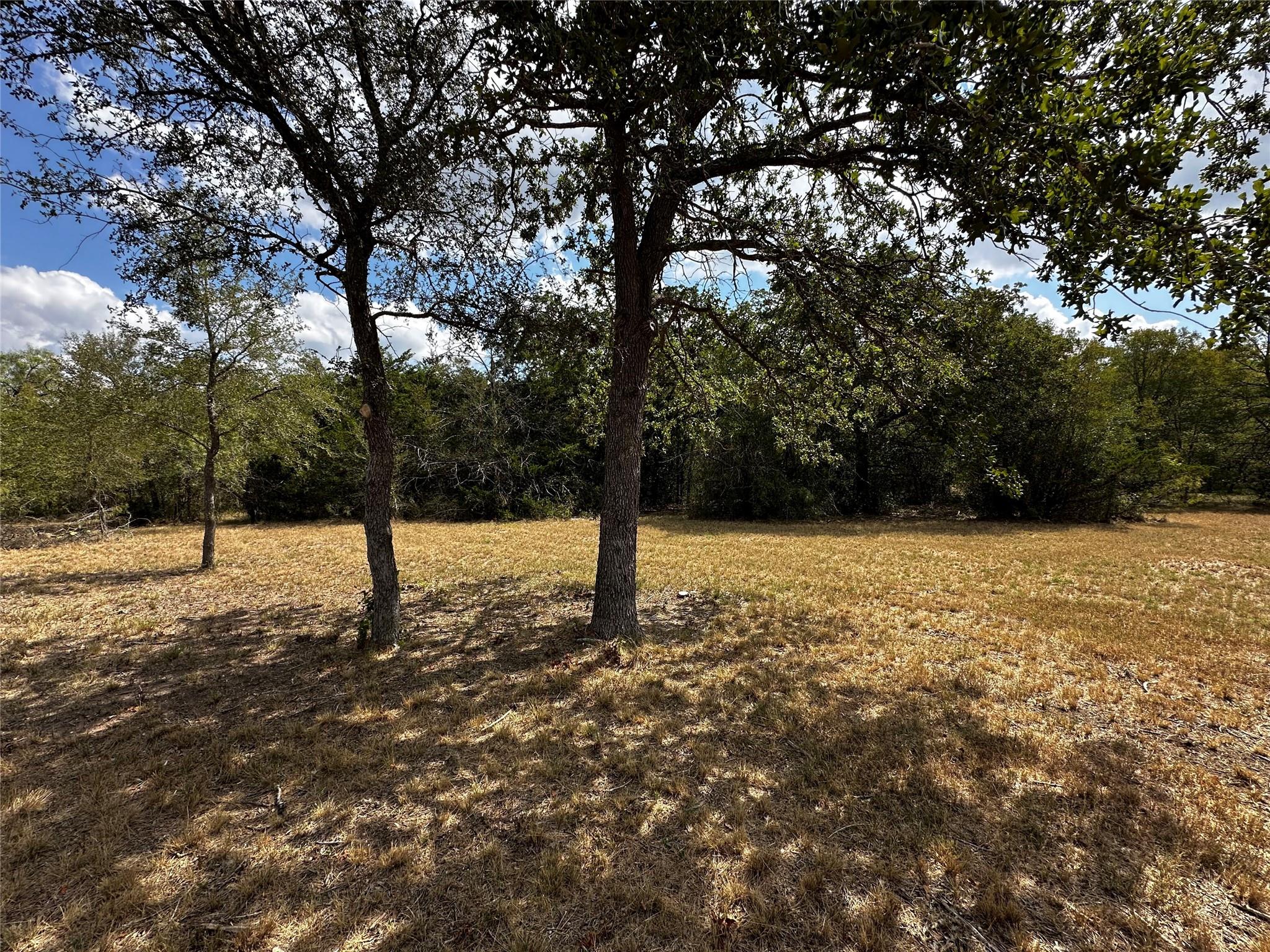 1535 Old Colony Line Rd Property Photo 5