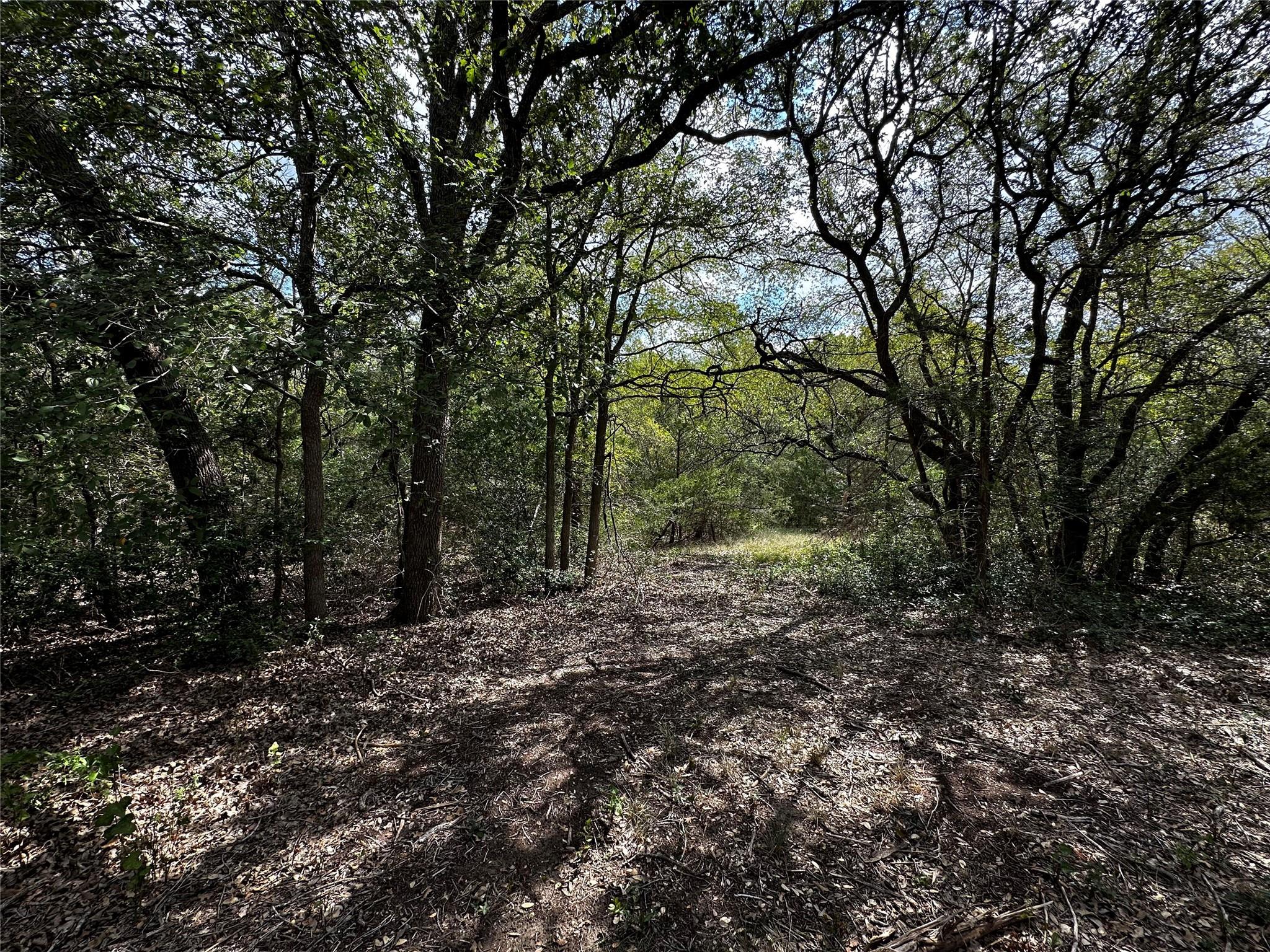 1535 Old Colony Line Rd Property Photo 7