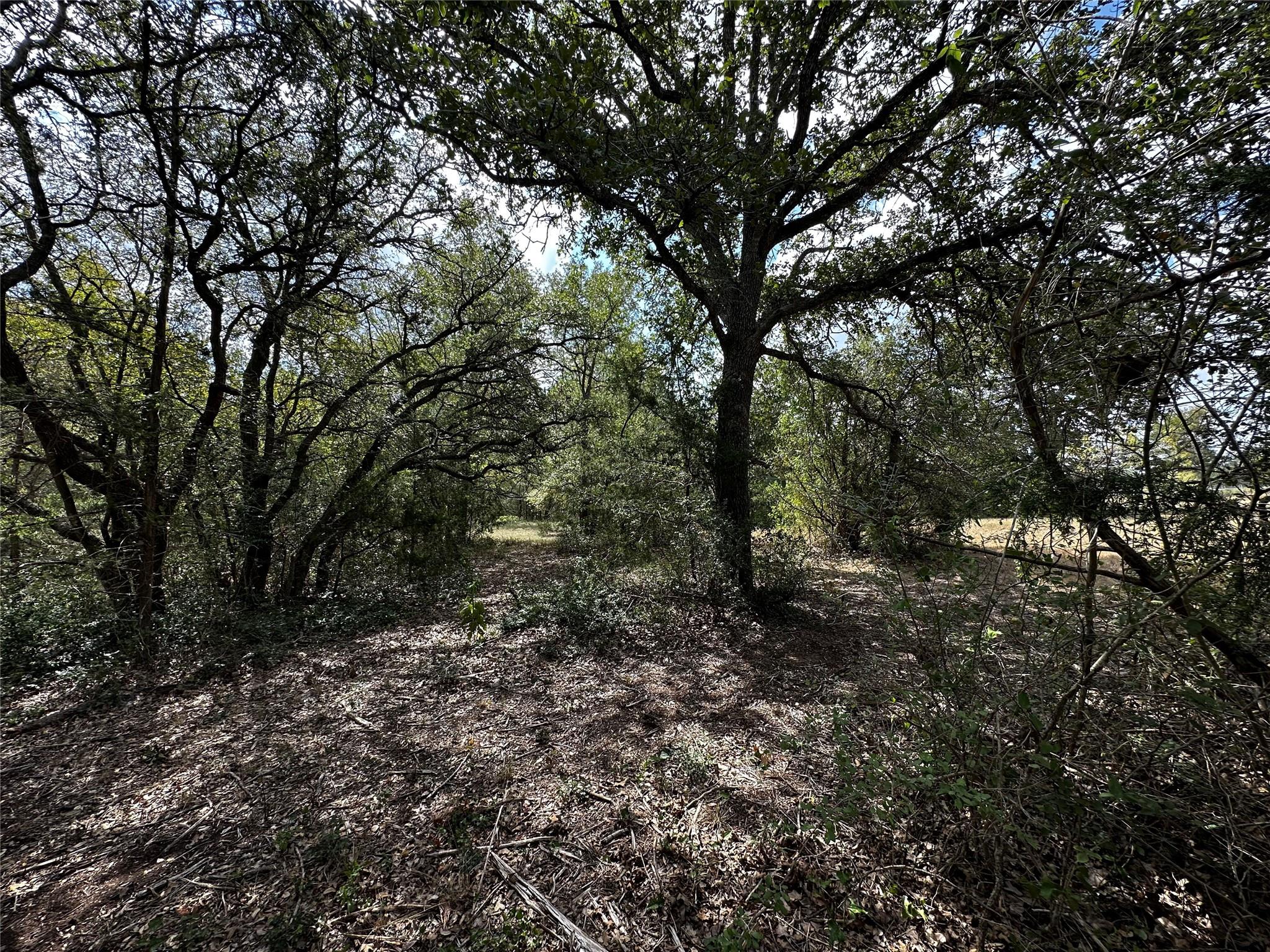 1535 Old Colony Line Rd Property Photo 8