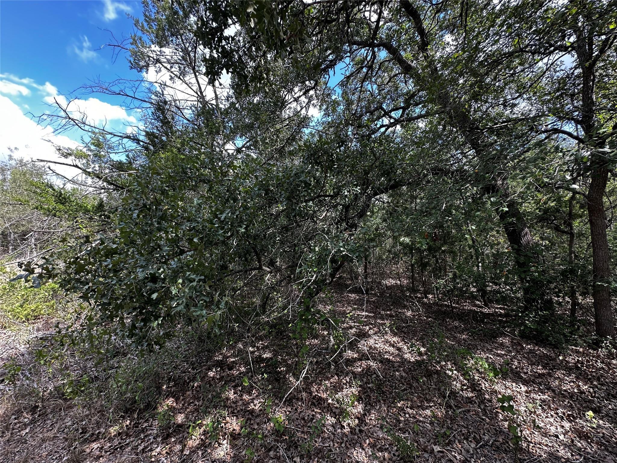 1535 Old Colony Line Rd Property Photo 9