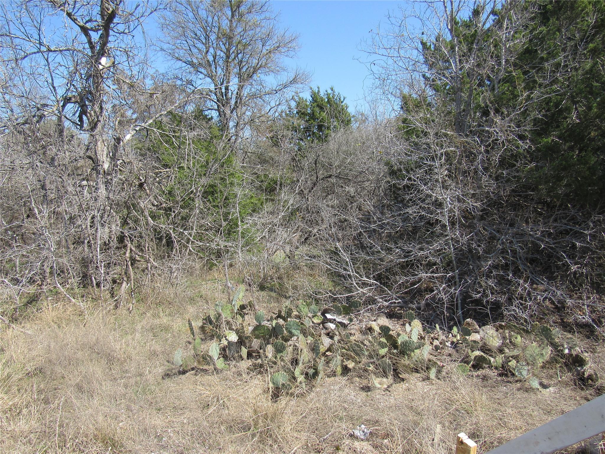 7669 Nez Perce Trce Property Photo 10