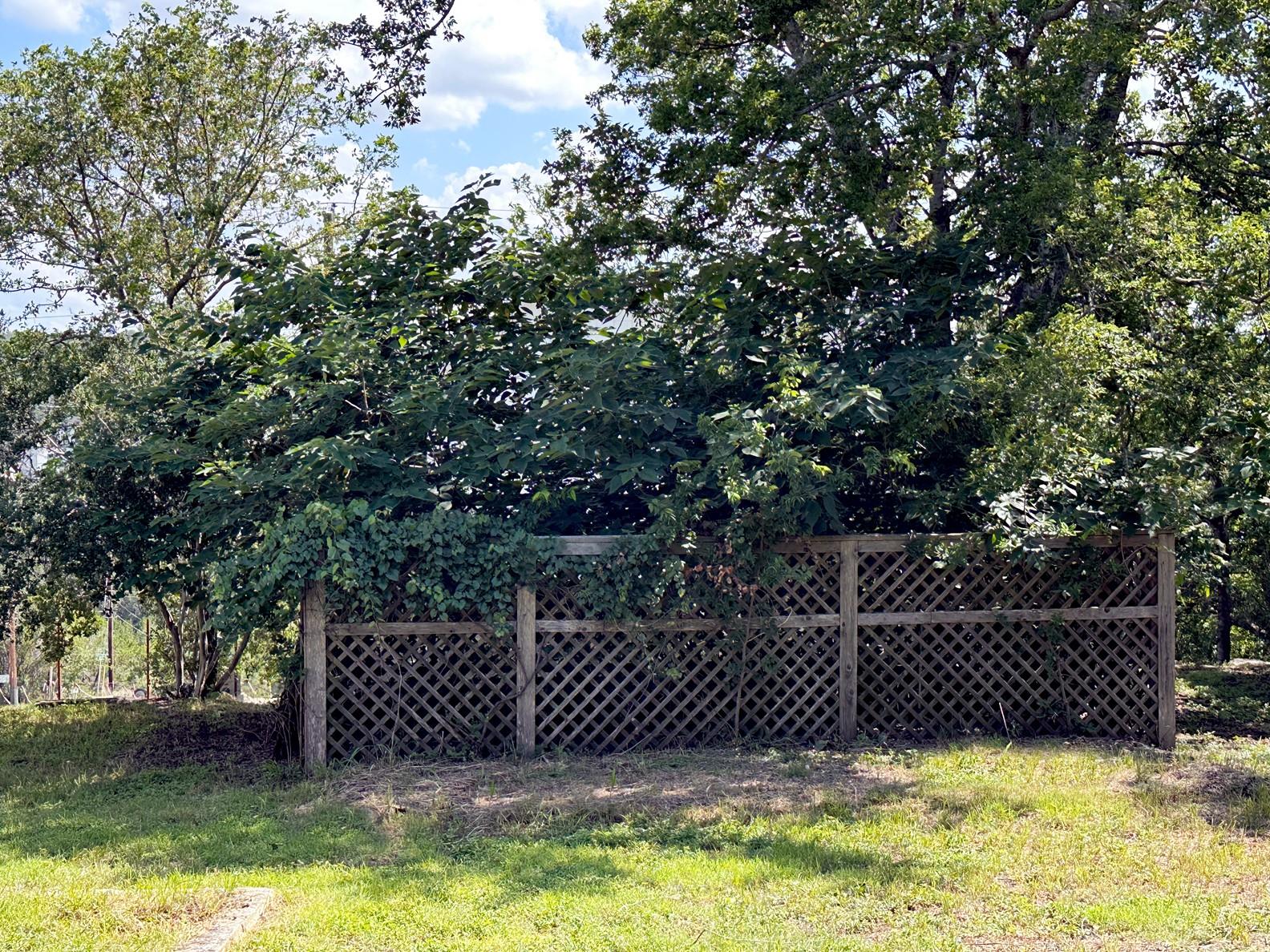 14609 Great Eagle Trl Property Photo 6