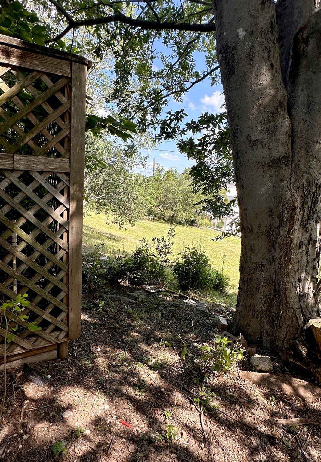 14609 Great Eagle Trl Property Photo 13