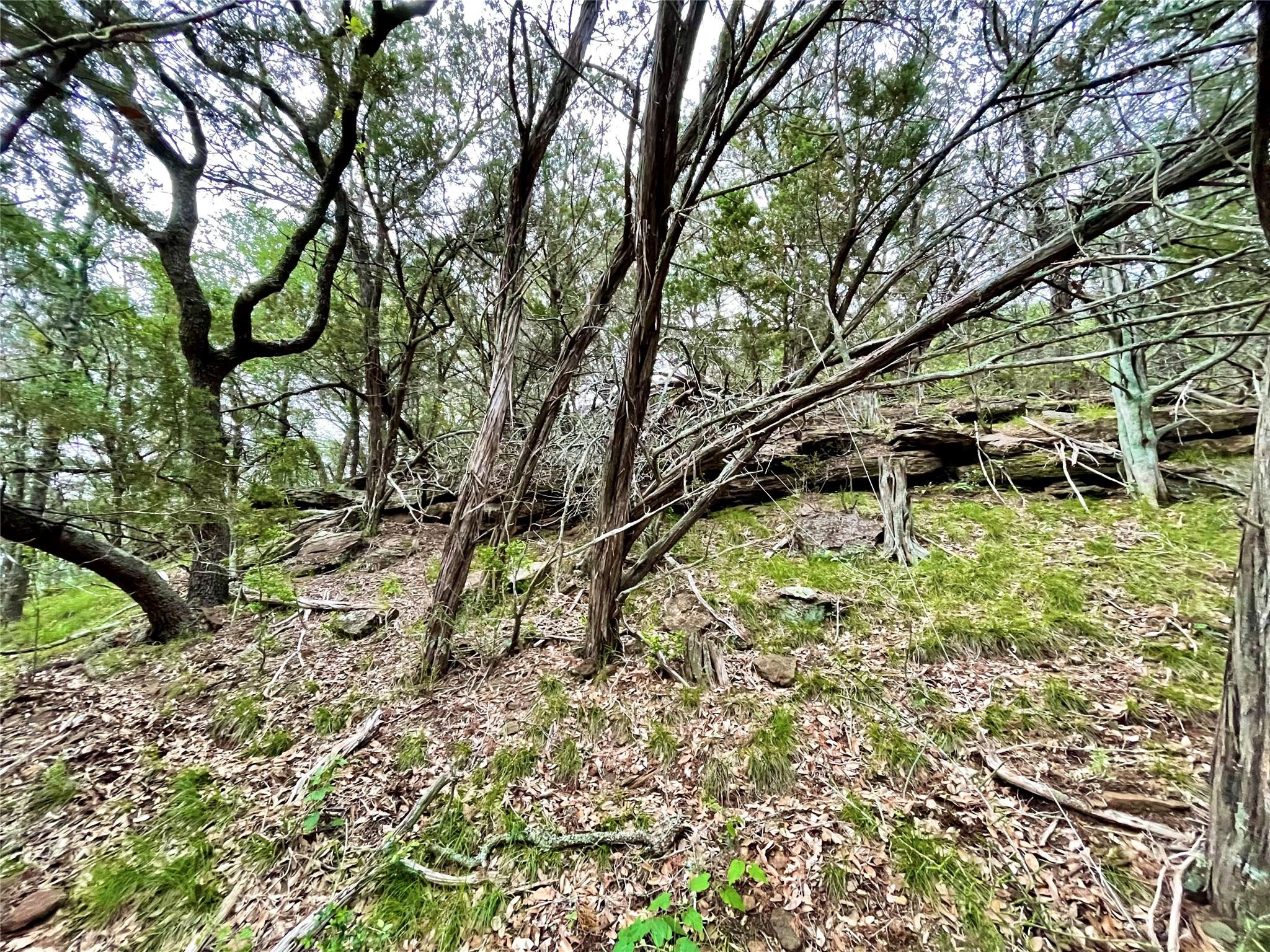 Lot T Sunset Cliff Rd Property Photo 8