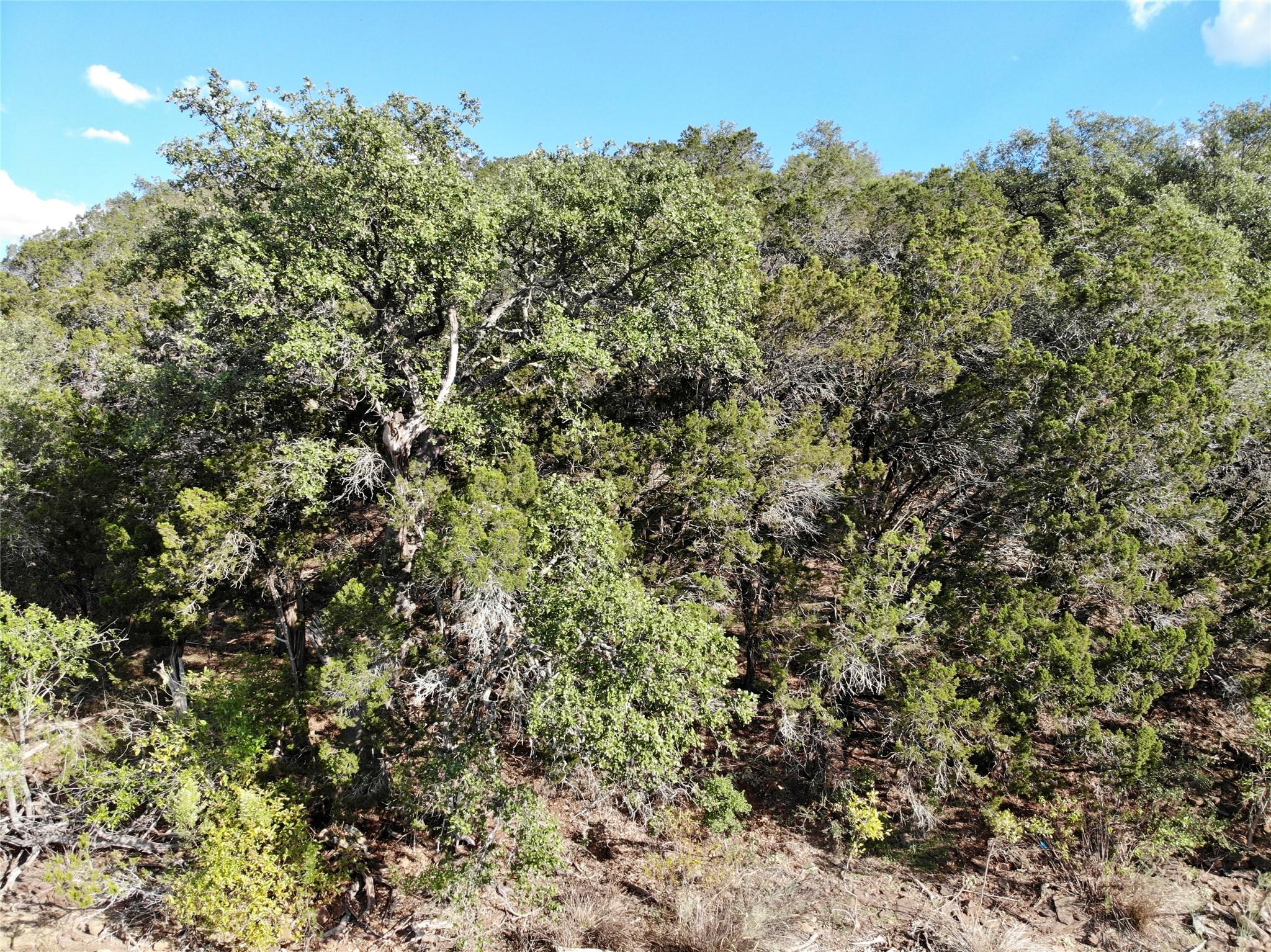 Lot T Sunset Cliff Rd Property Photo 19