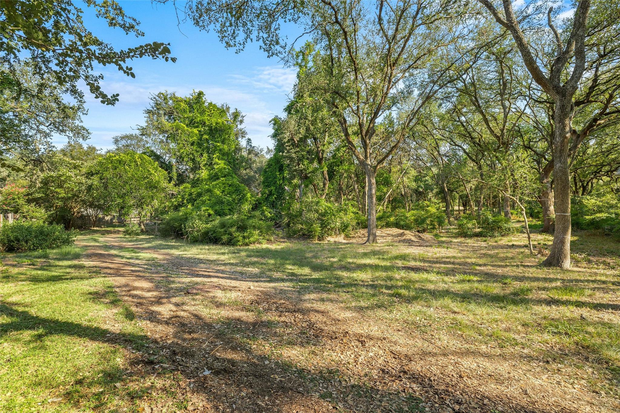 4101 Spicewood Springs Rd Property Photo 3