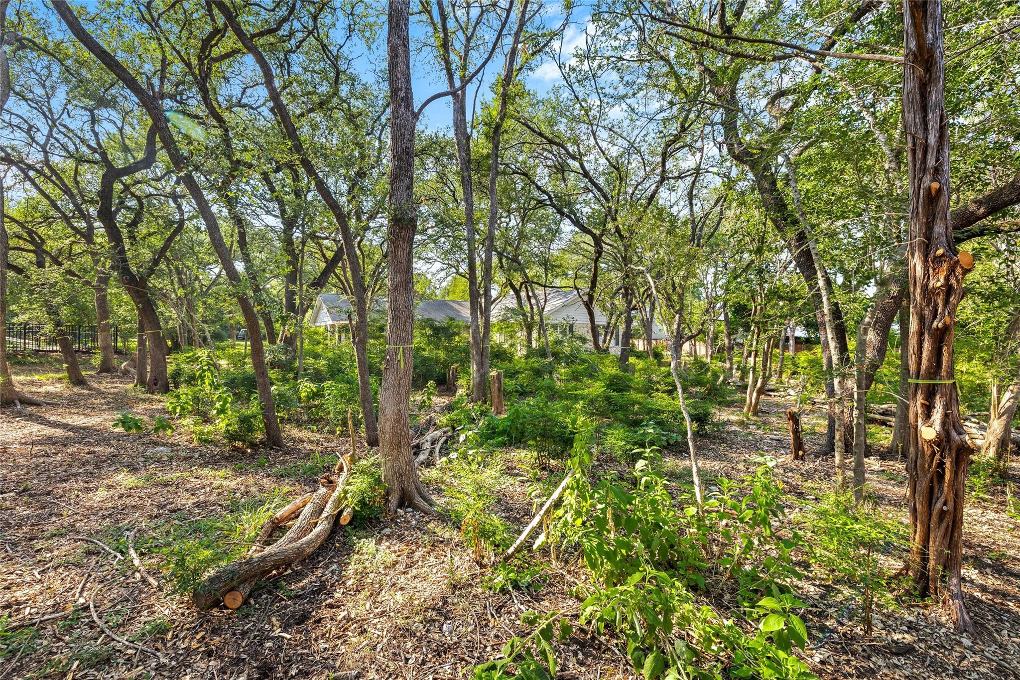 4101 Spicewood Springs Rd Property Photo 5