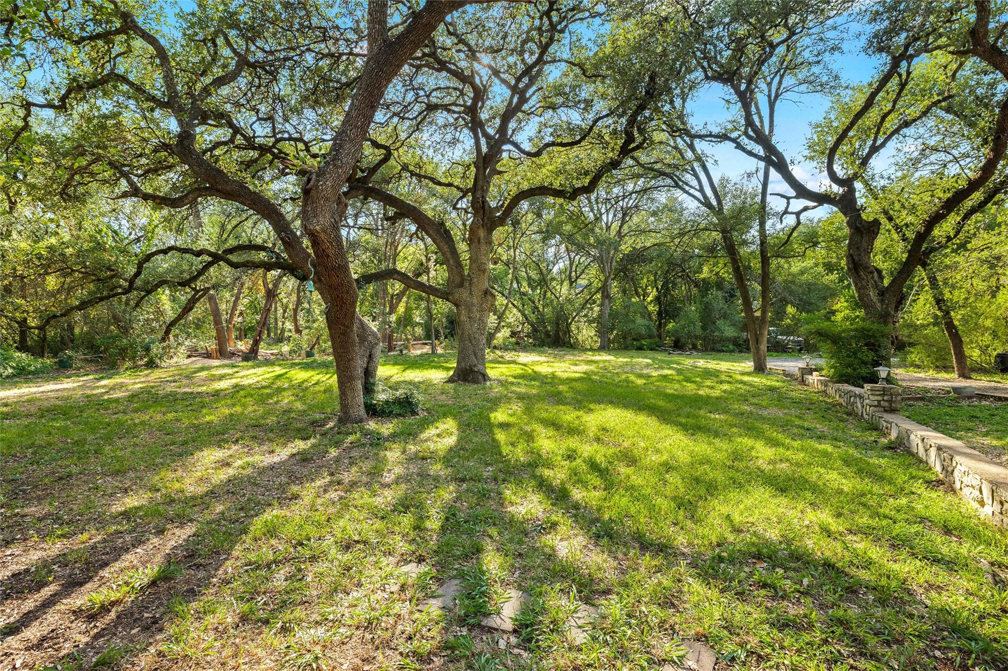 4101 Spicewood Springs Rd Property Photo 8