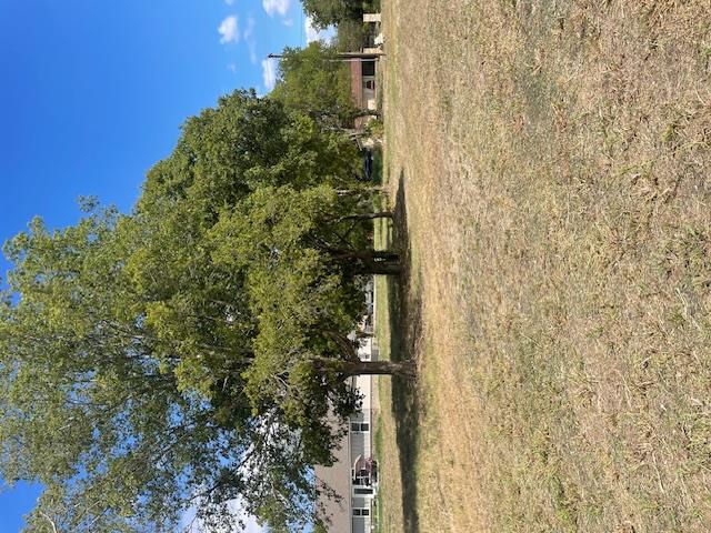 703 4th St Property Photo 16