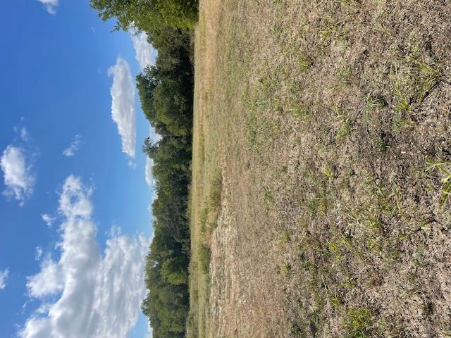 703 4th St Property Photo 17