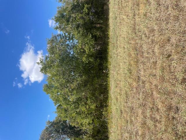 703 4th St Property Photo 18