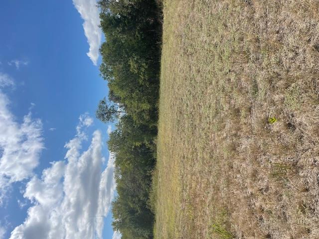 703 4th St Property Photo 19