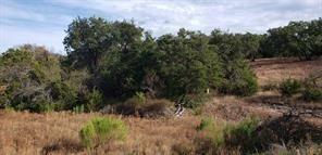 Lot 103 Crossvine Rd Property Photo 2