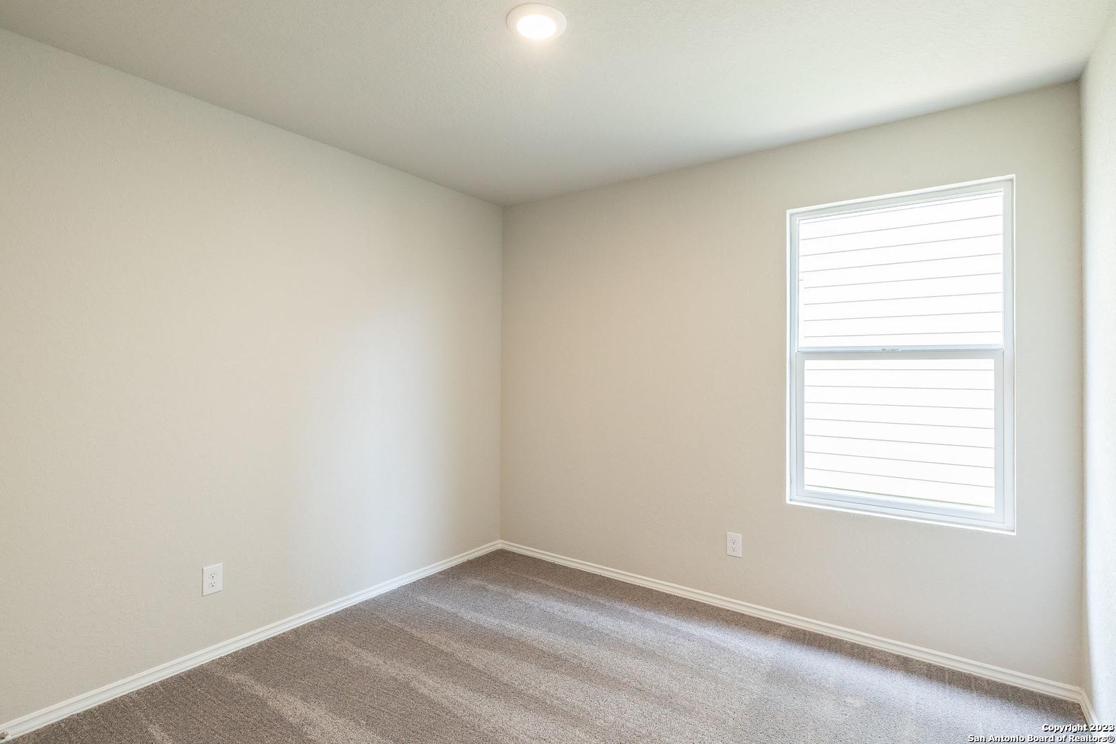 2614 Pechora Pipit None Property Photo 13
