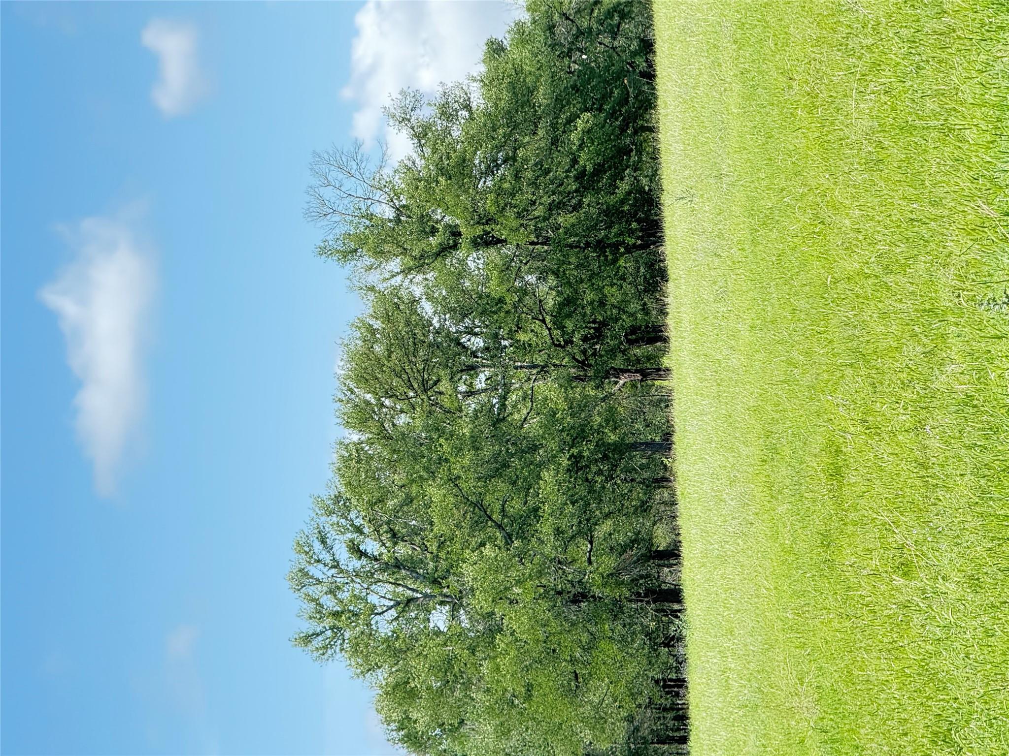 674 County Road 309 None Property Photo 3
