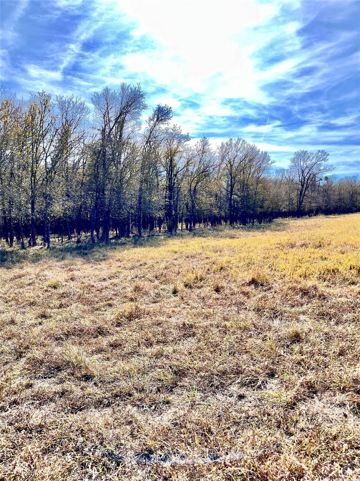 674 County Road 309 None Property Photo 11