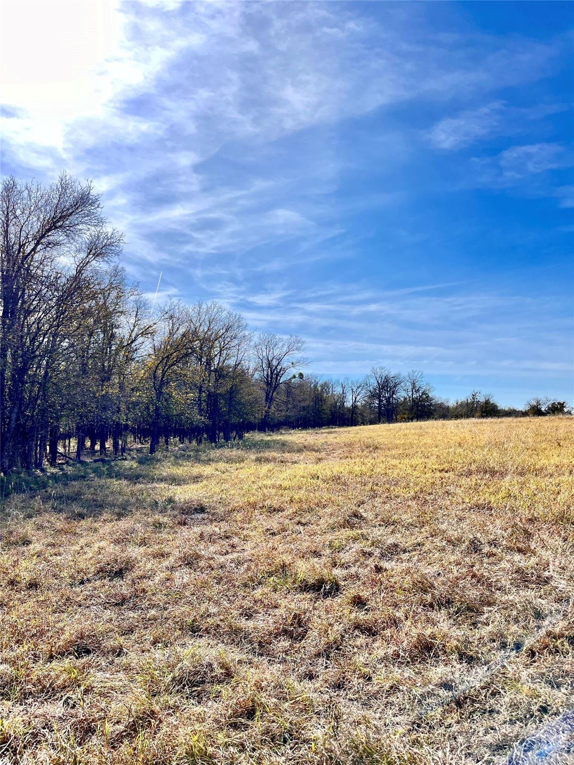 674 County Road 309 None Property Photo 14