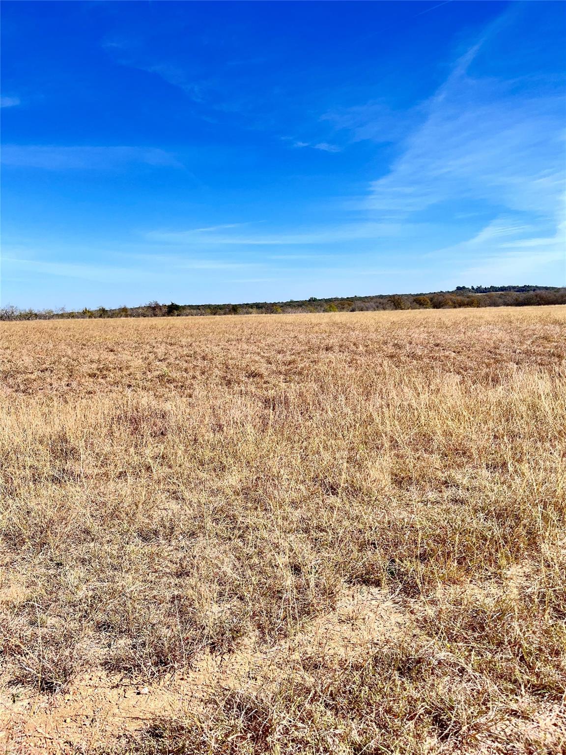 674 County Road 309 None Property Photo 15