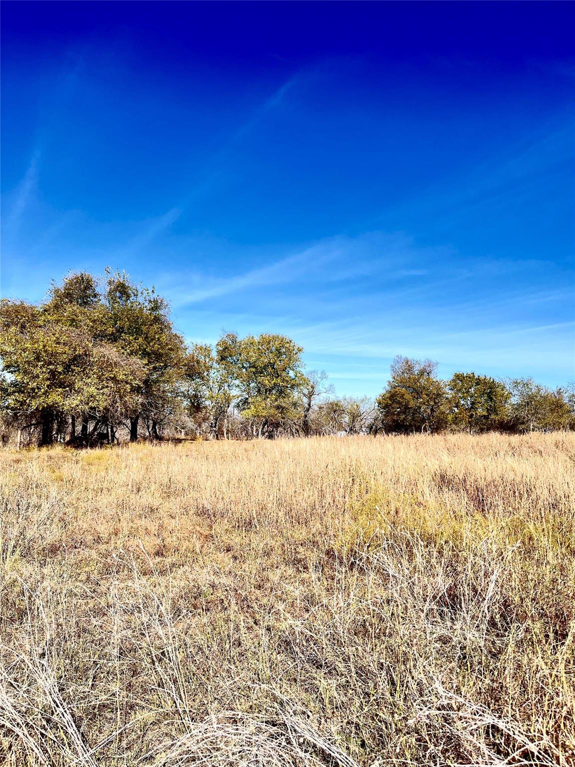 674 County Road 309 None Property Photo 16
