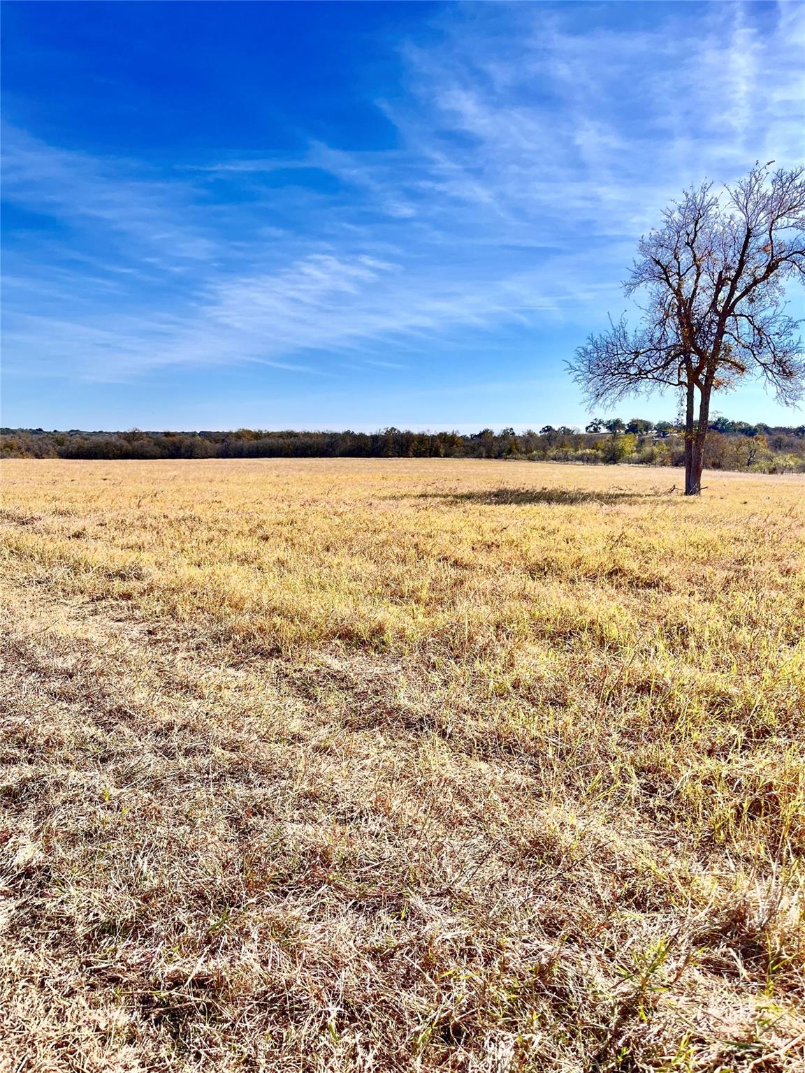 674 County Road 309 None Property Photo 19