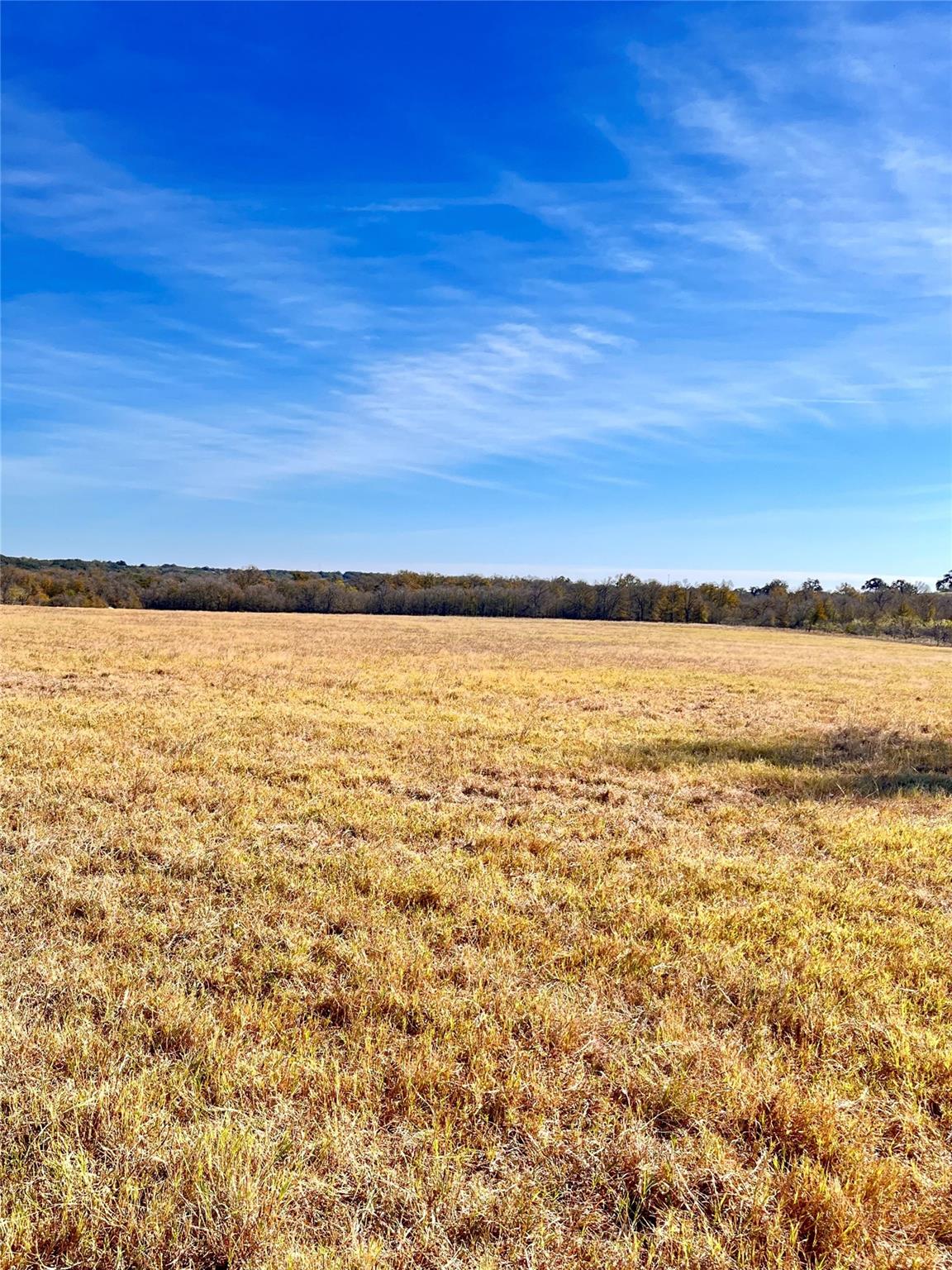 674 County Road 309 None Property Photo 20