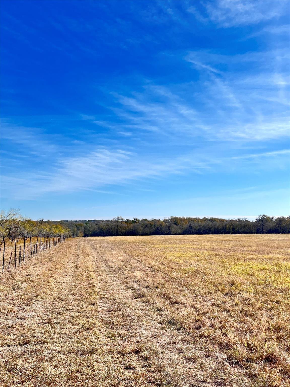 674 County Road 309 None Property Photo 21