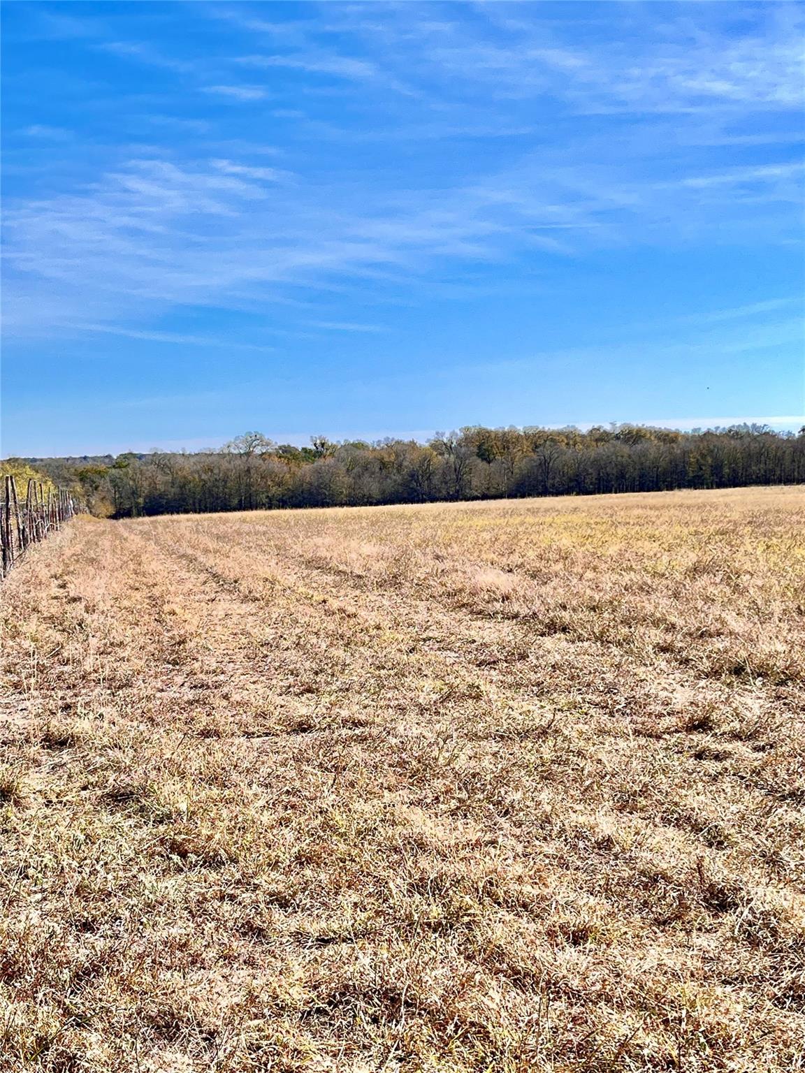 674 County Road 309 None Property Photo 22