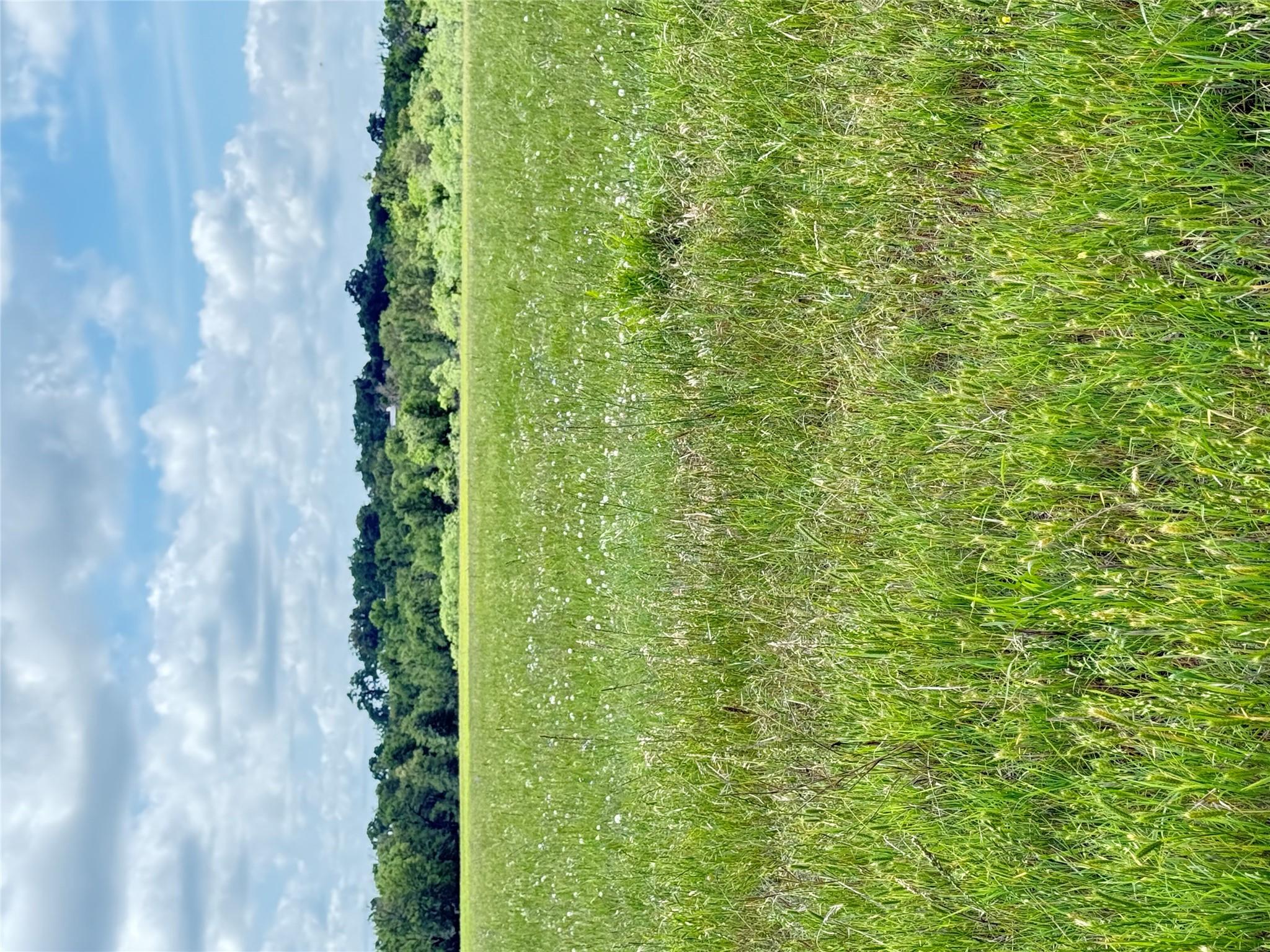 674 County Road 309 None Property Photo 28