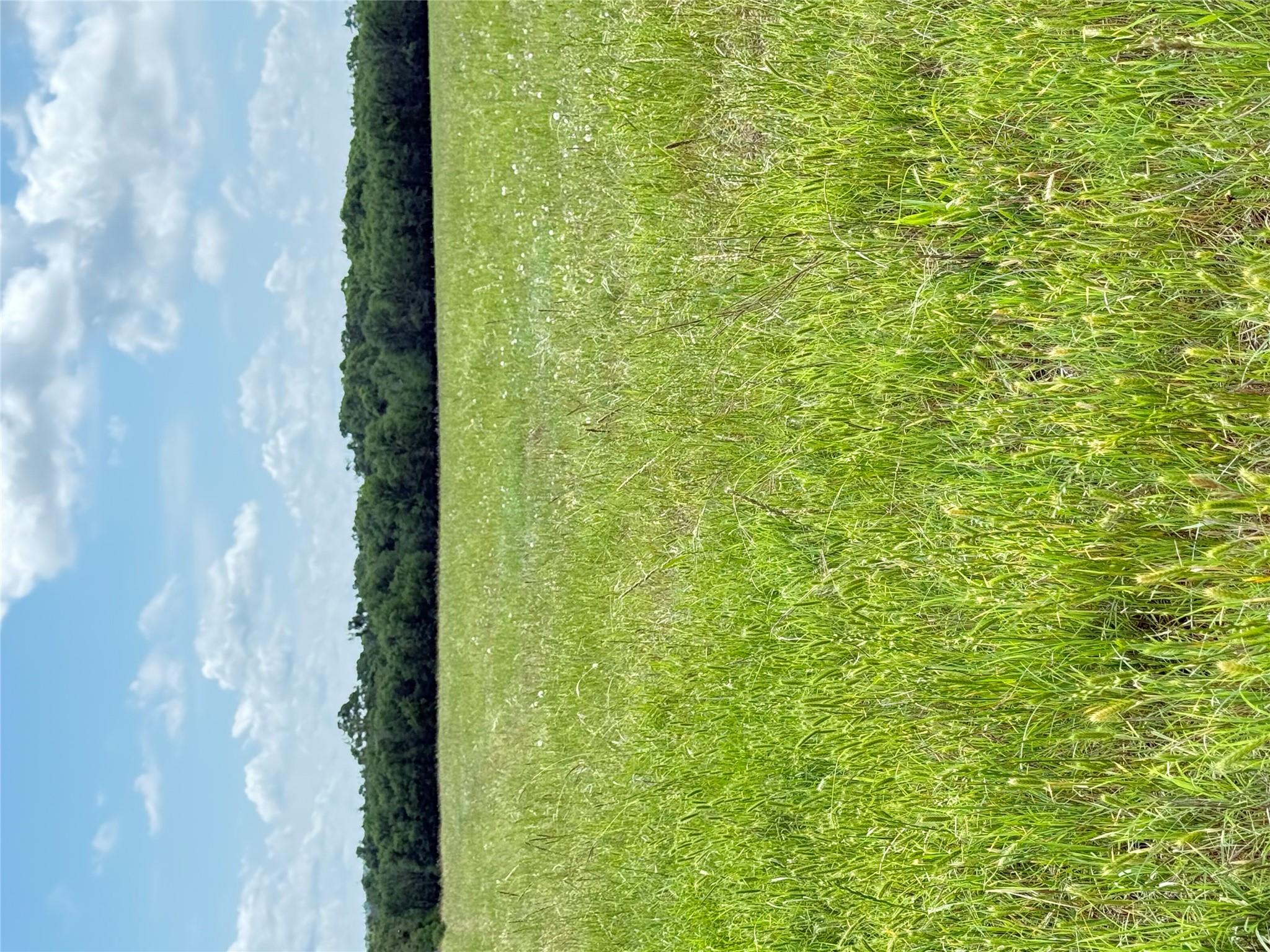674 County Road 309 None Property Photo 29