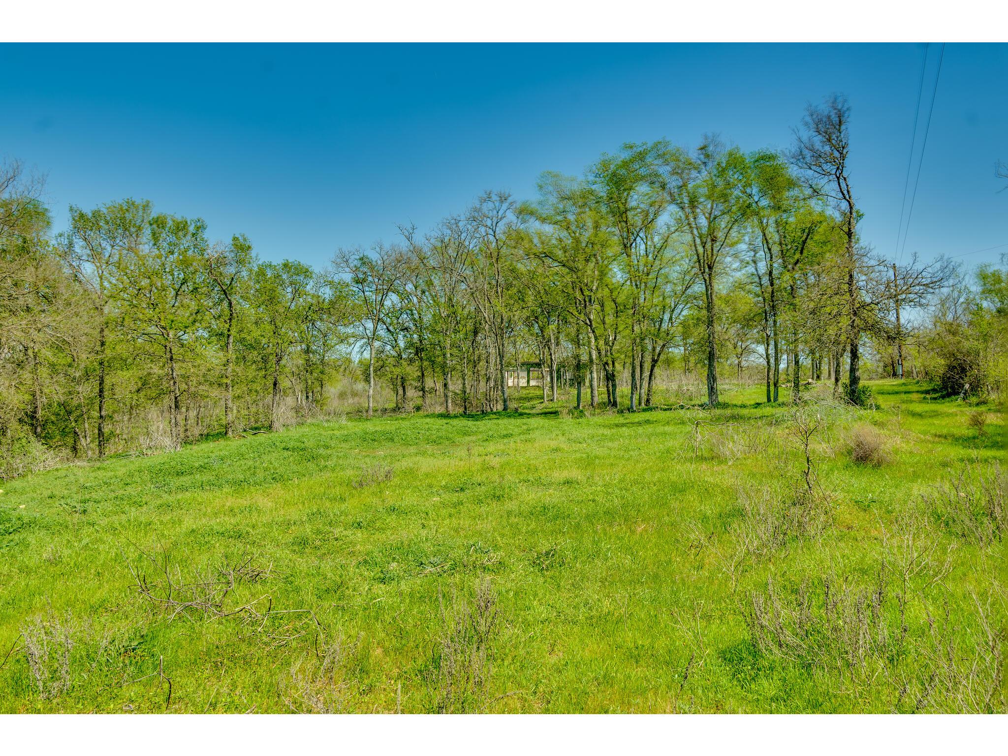 185 Settlers Trl Property Photo 3