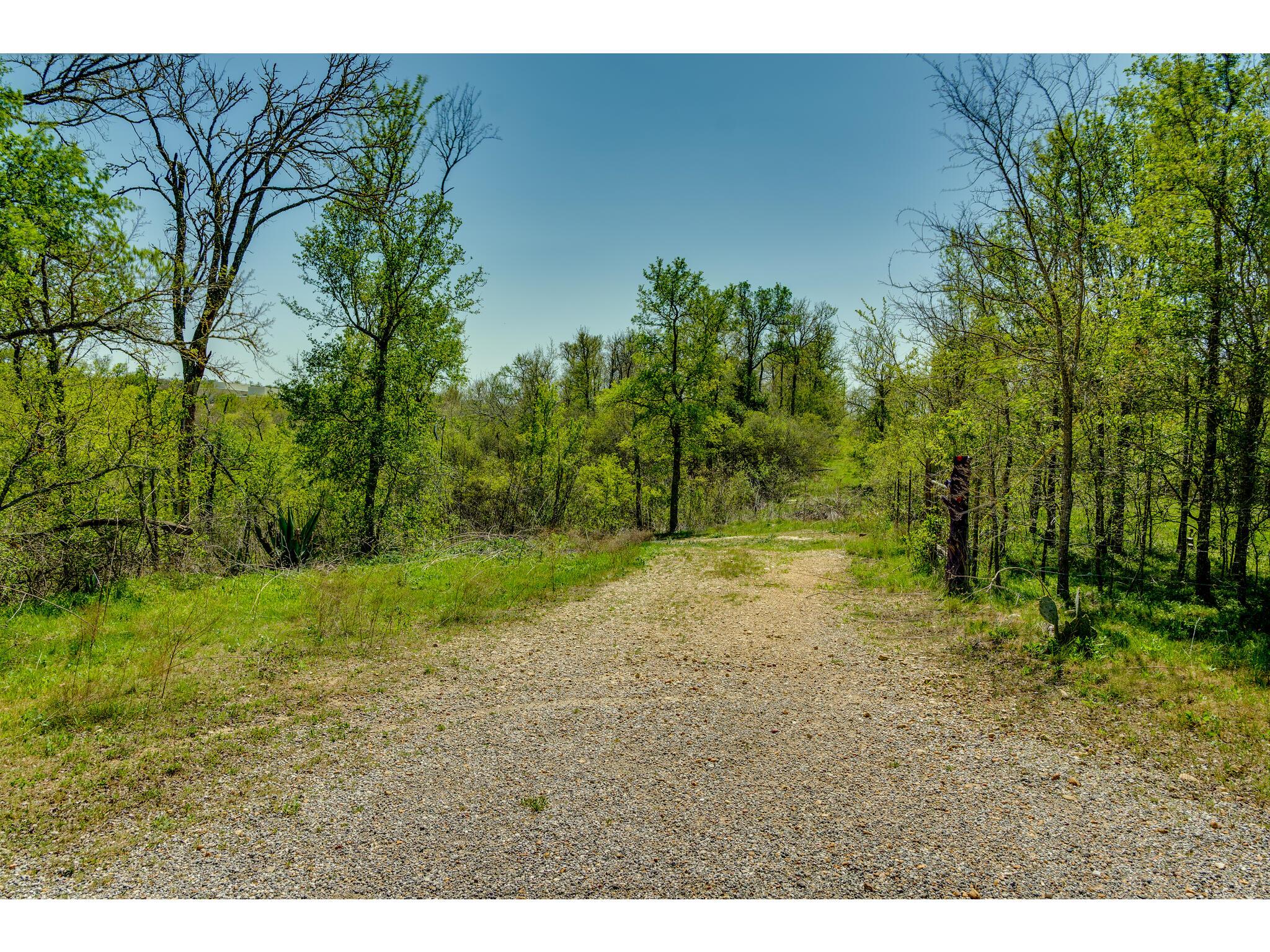 185 Settlers Trl Property Photo 4