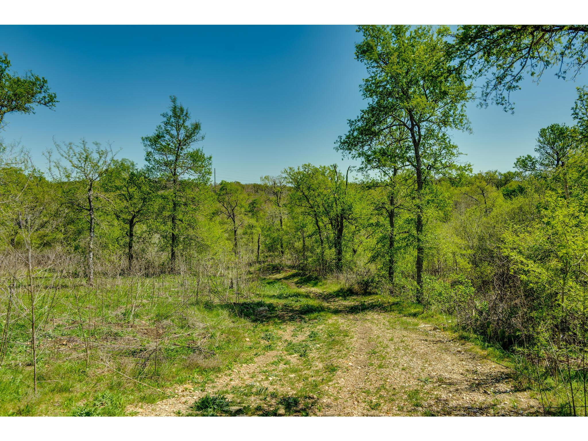 185 Settlers Trl Property Photo 8