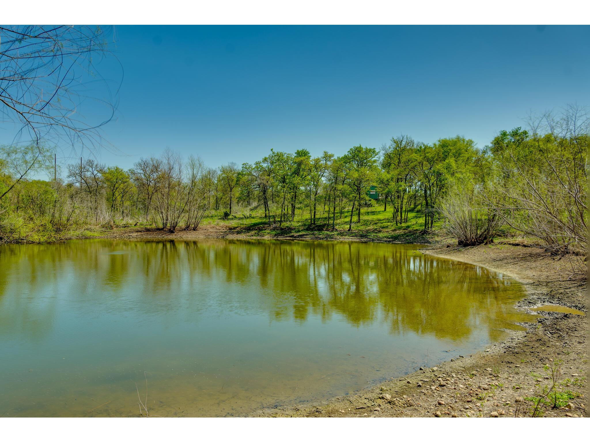 185 Settlers Trl Property Photo 11