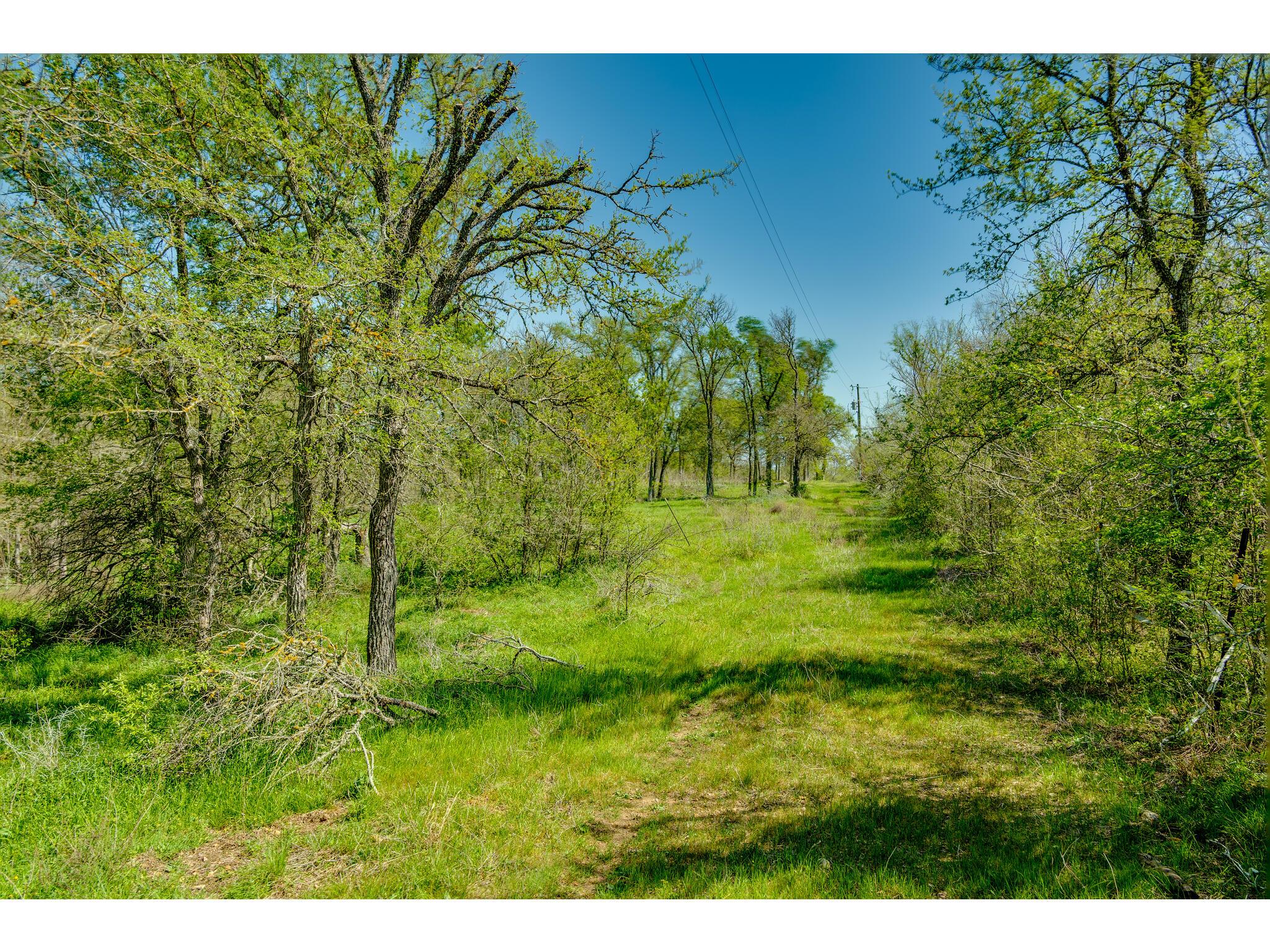 185 Settlers Trl Property Photo 12